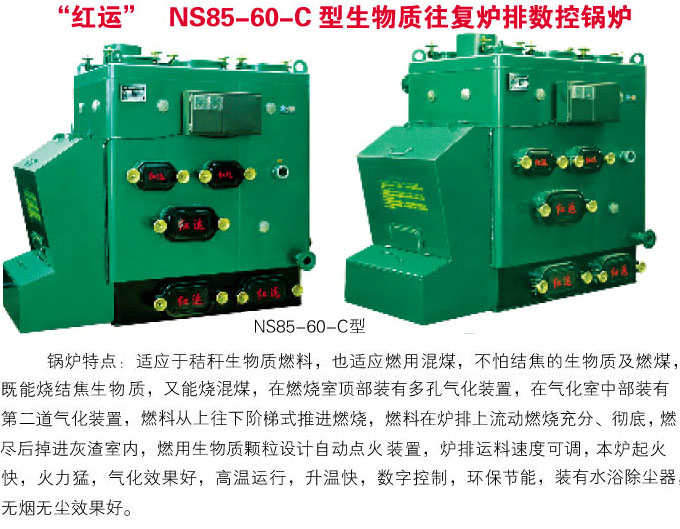 NS85-60-C型生物